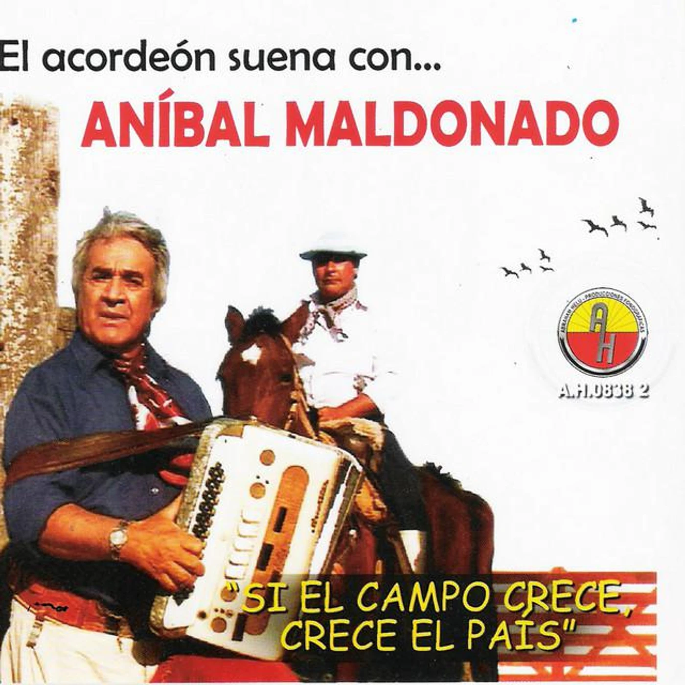 Anibal Maldonado Brand Page