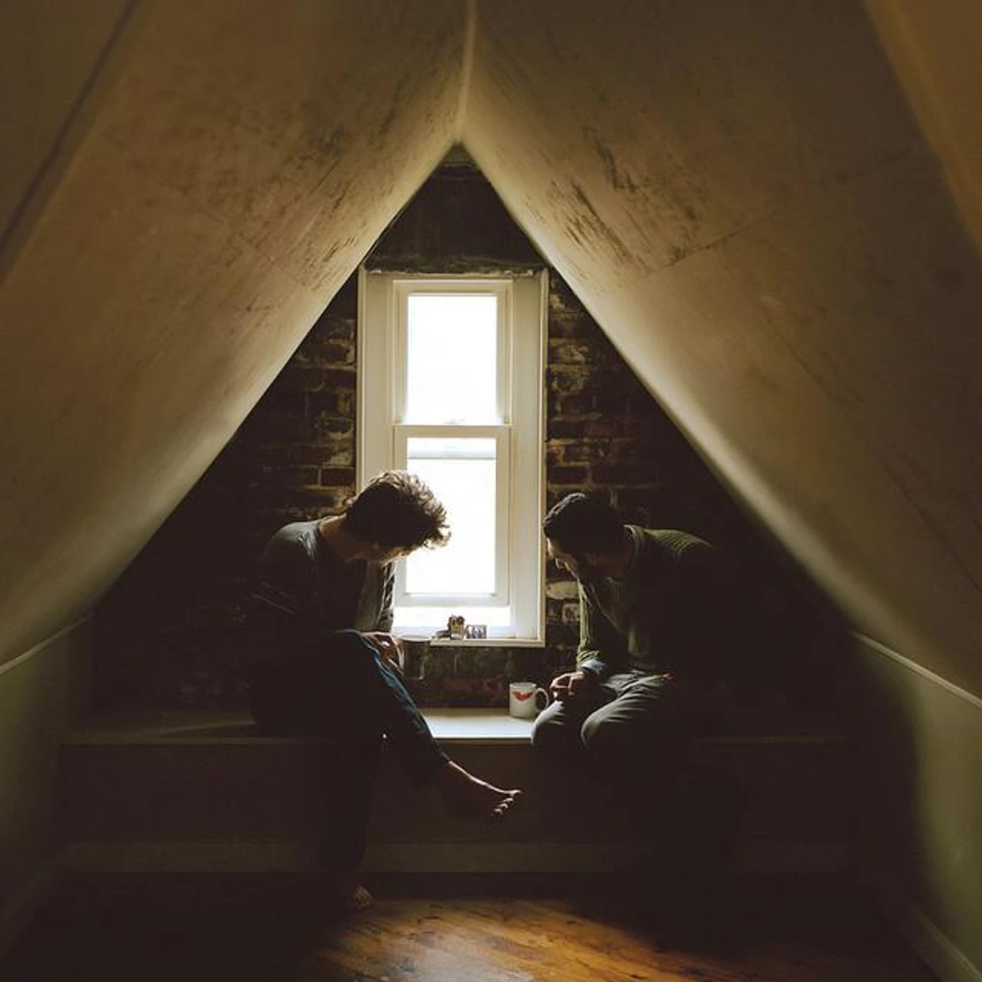 Animal City Brand Page