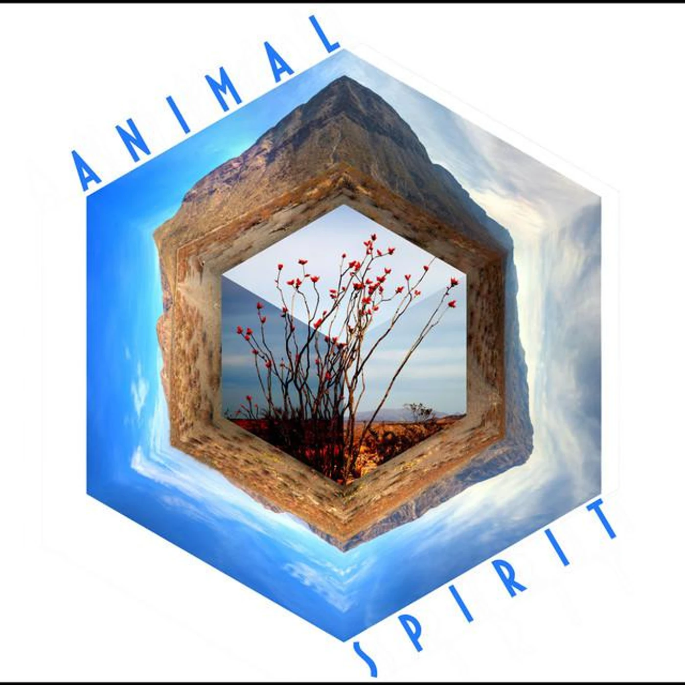Animal Spirit