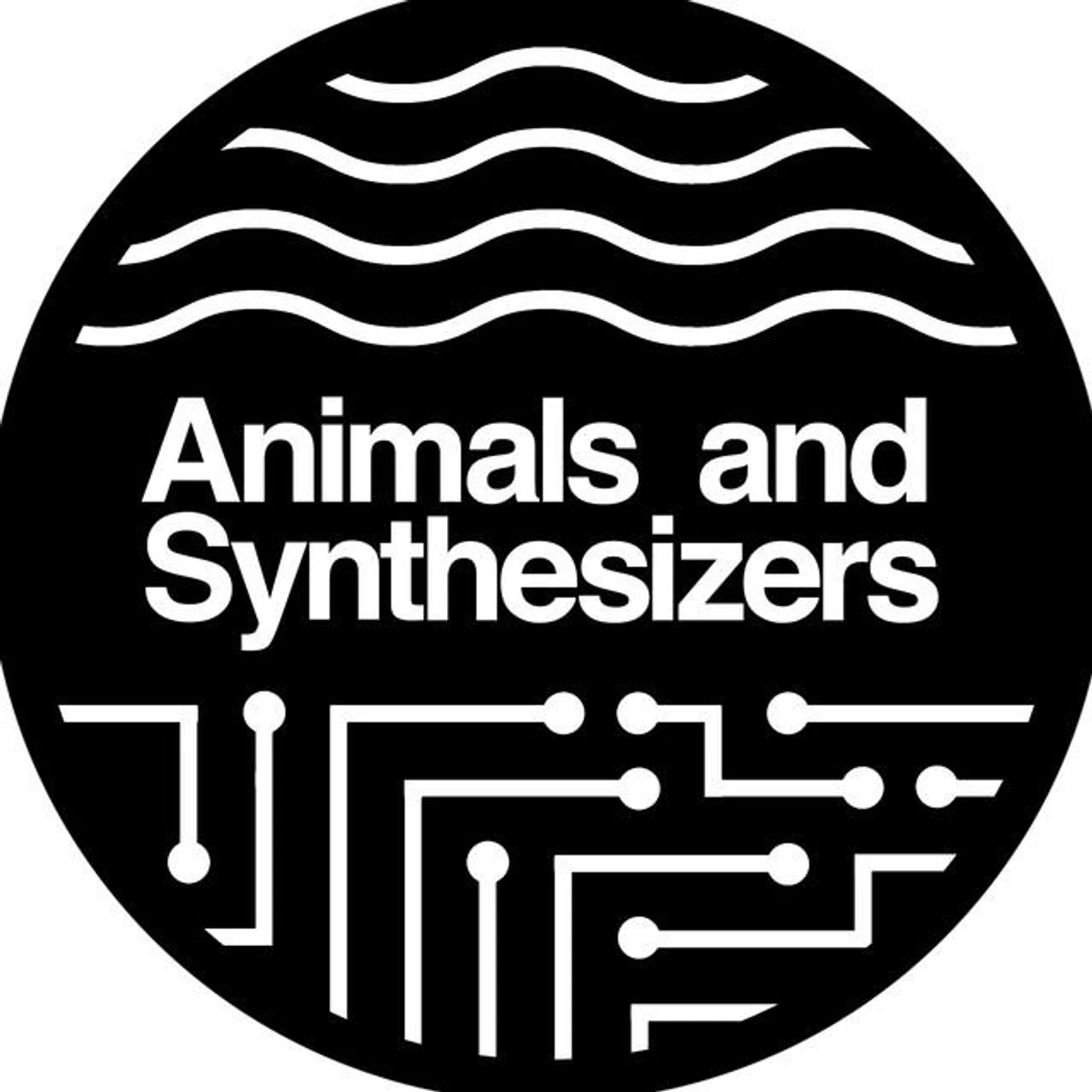 Animals And Synthesizers Brand Page