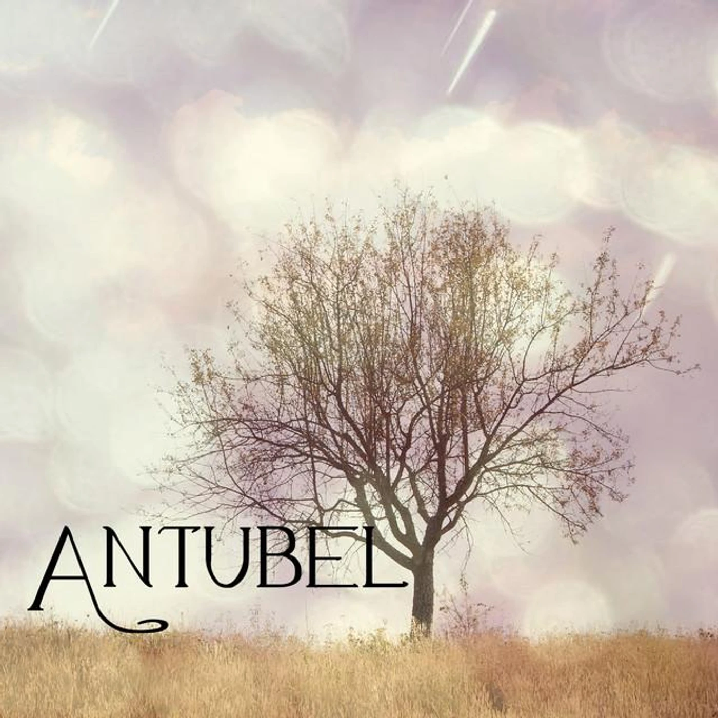 Antubel Brand Page