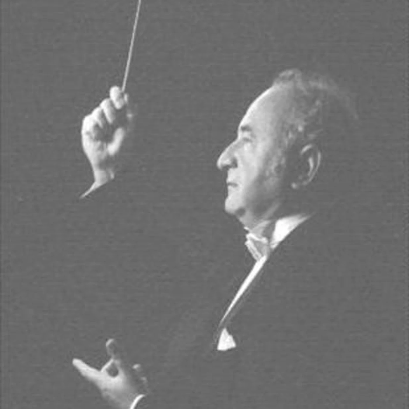 Anton Nanut Brand Page