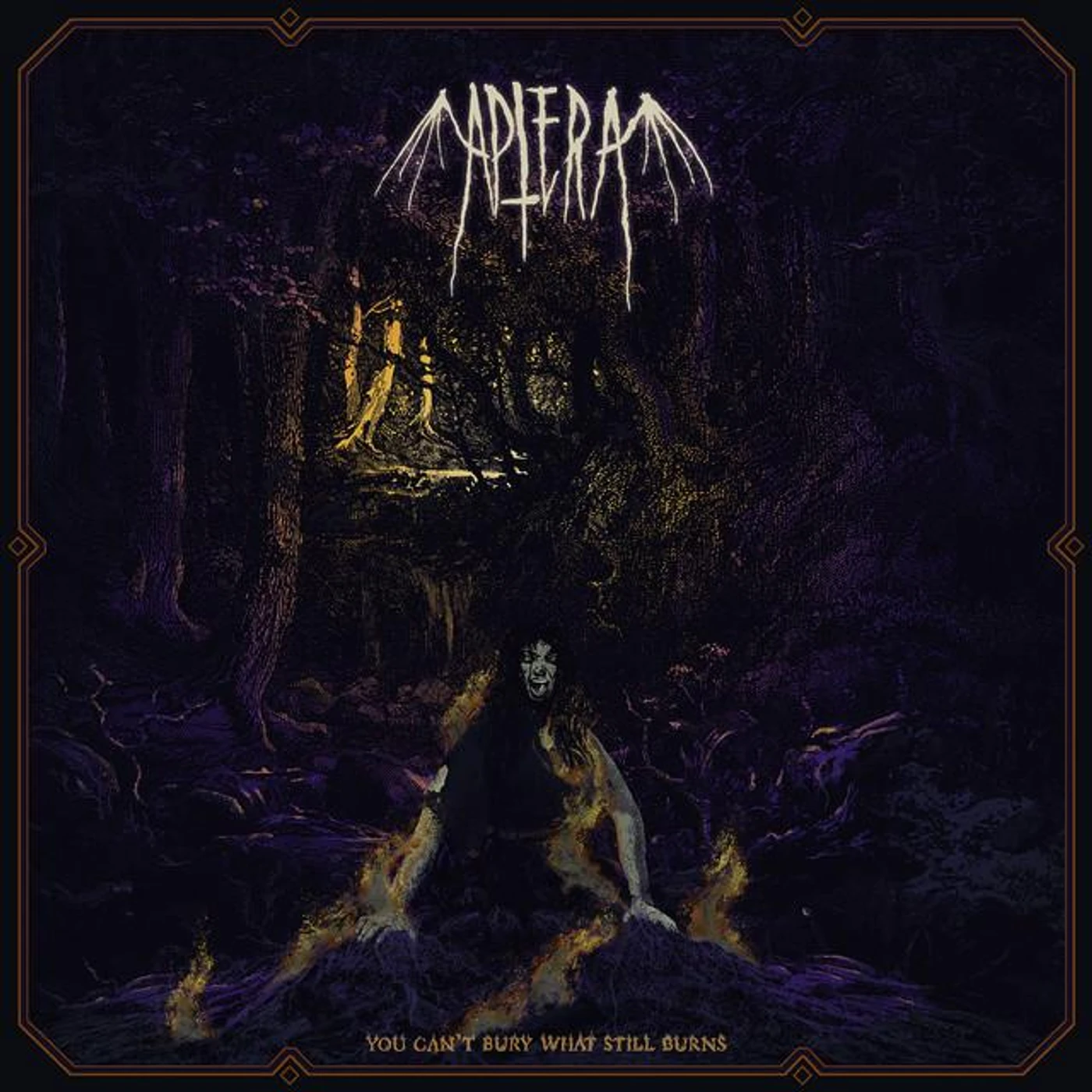 Aptera Brand Page