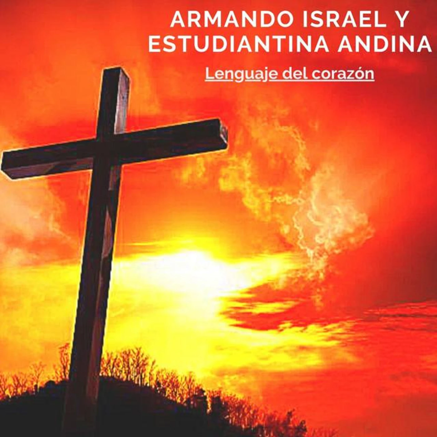 Armando Israel y Estudiantina Andina Brand Page