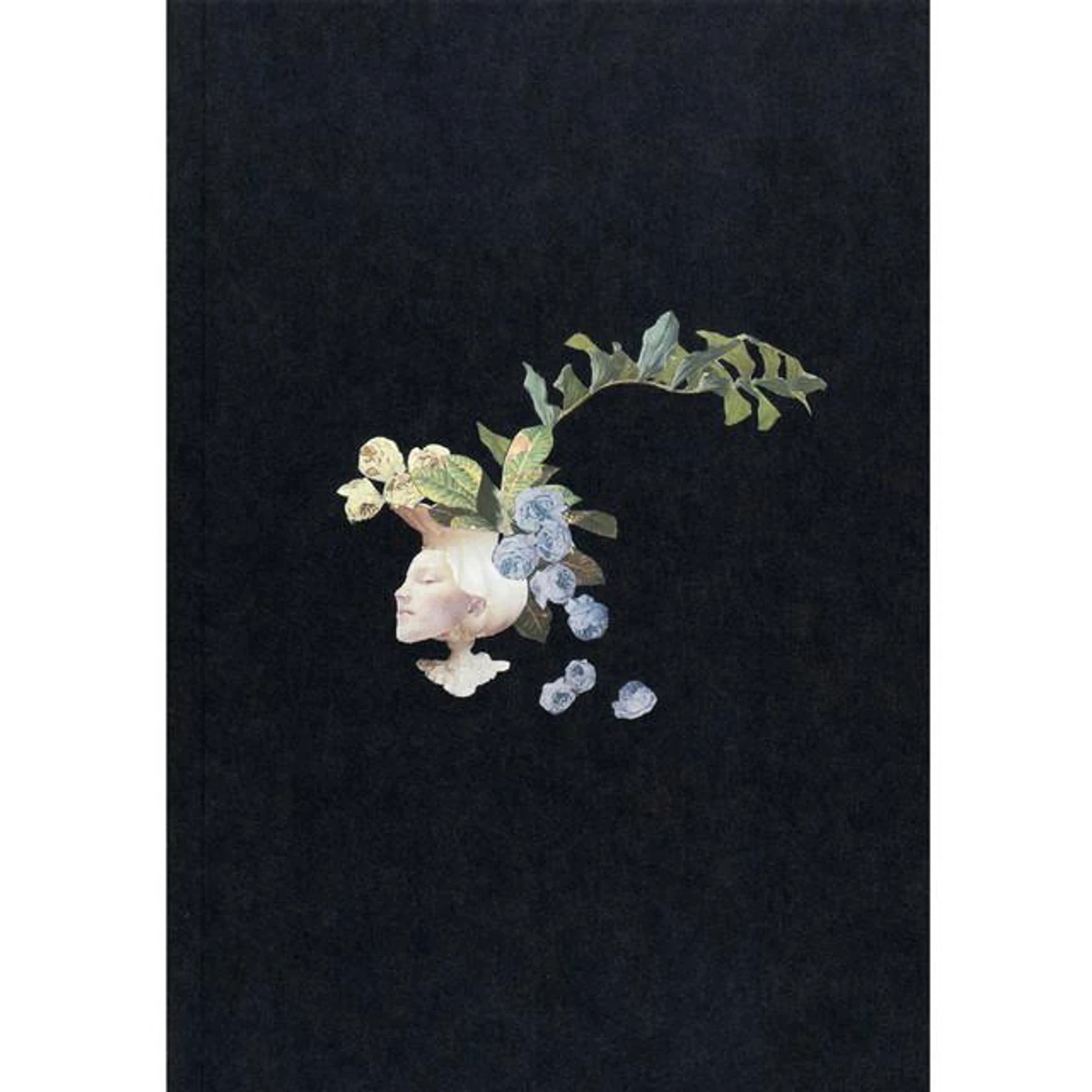 ARAKI Shin Brand Page