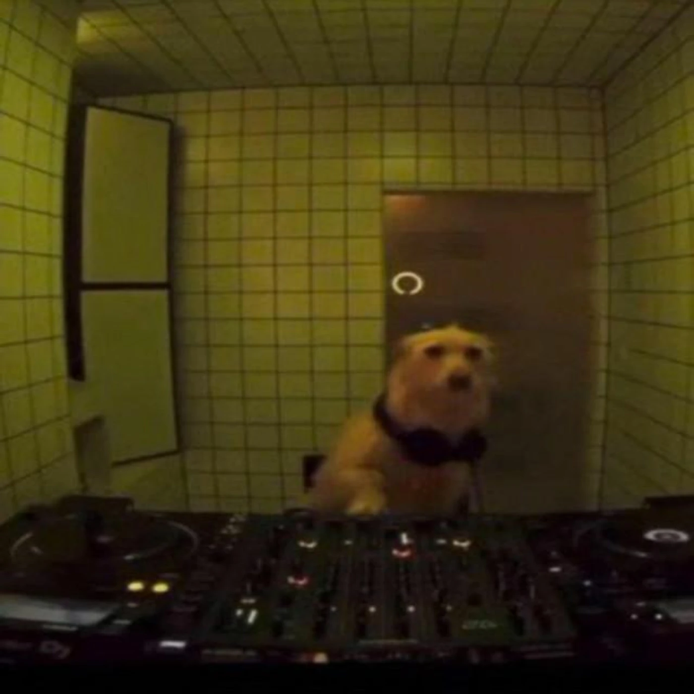 archive computer Brand Page