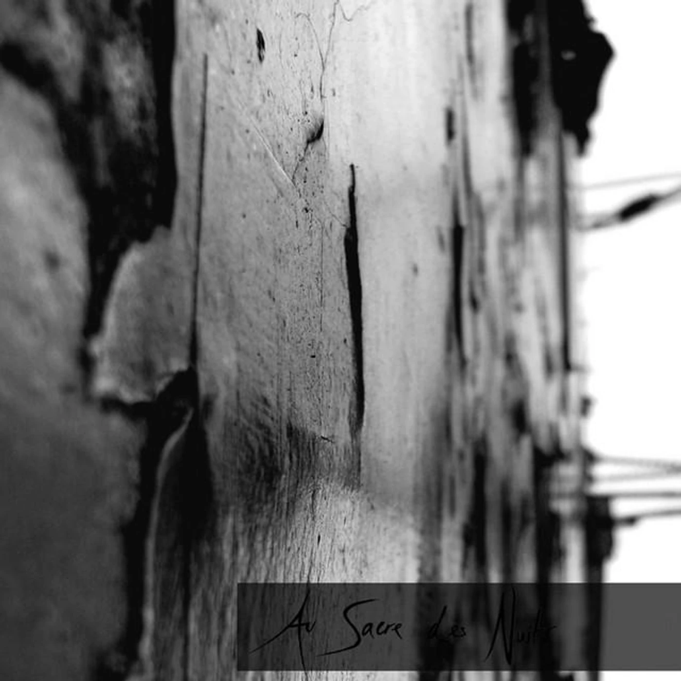 Au Sacre des Nuits