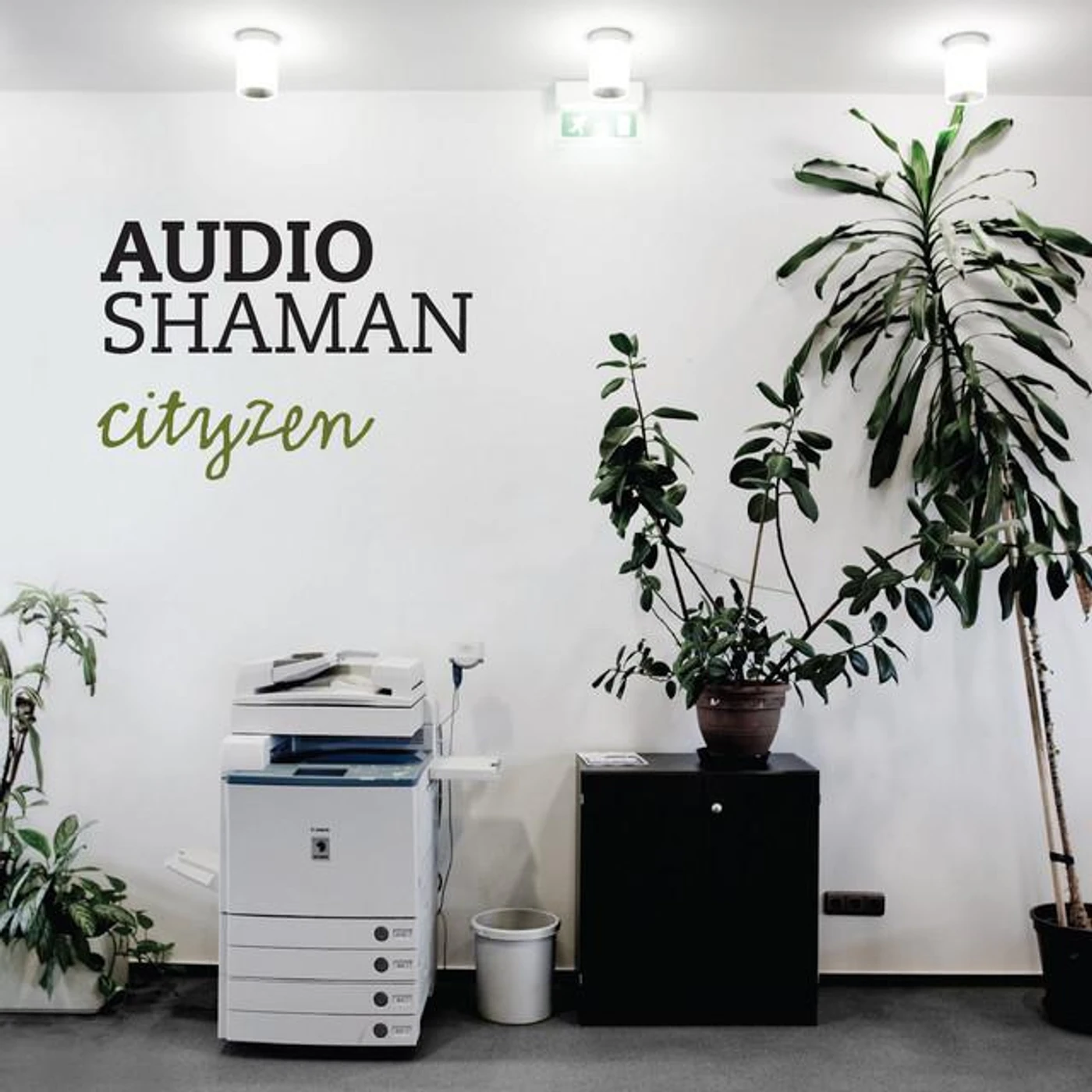 Audio Shaman Brand Page