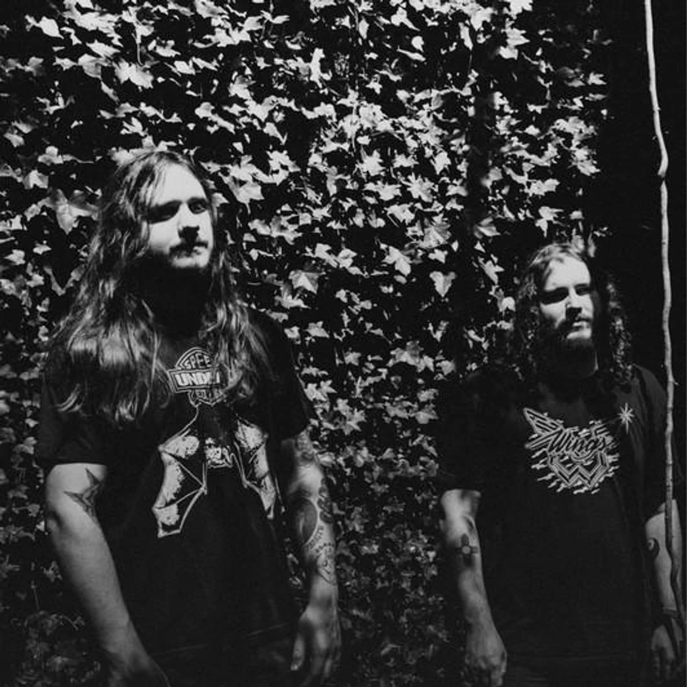 Auralayer Brand Page