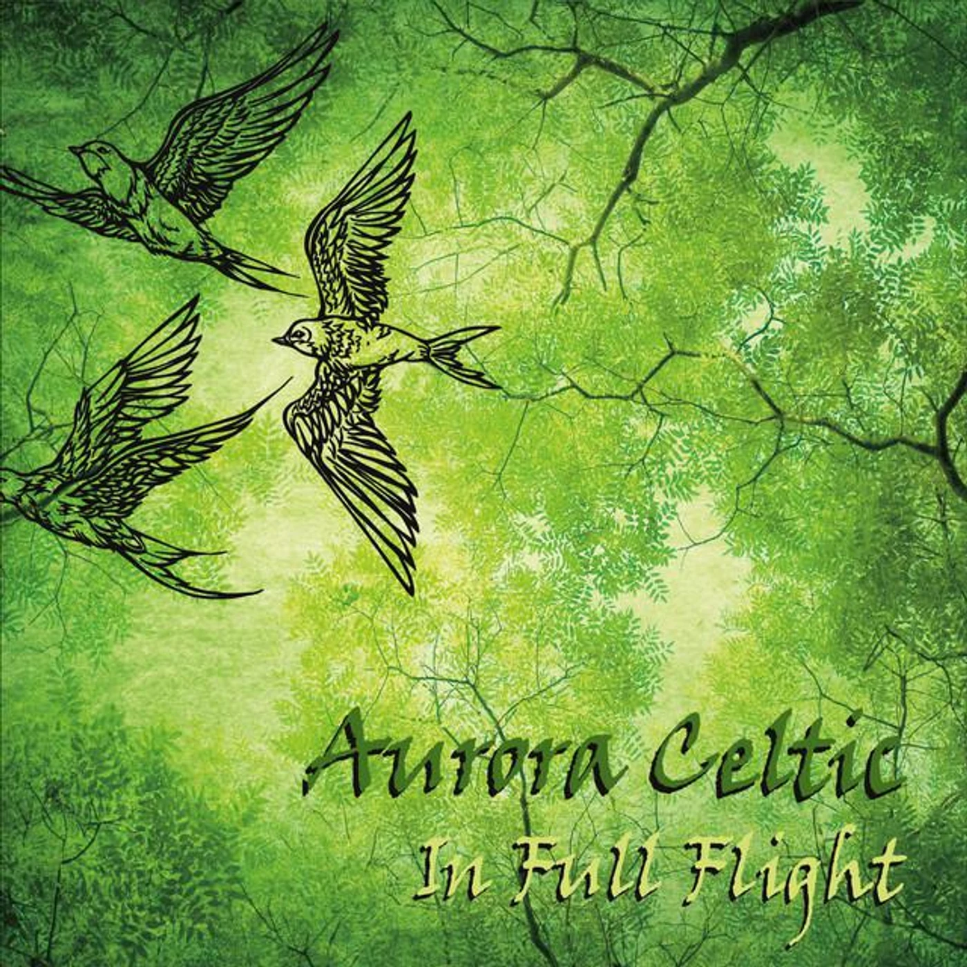 Aurora Celtic Brand Page