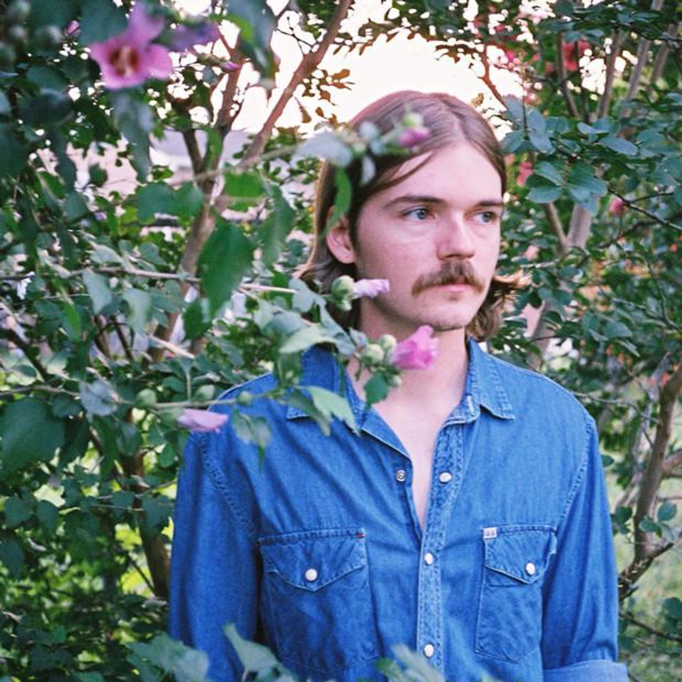 Austin Feinstein
