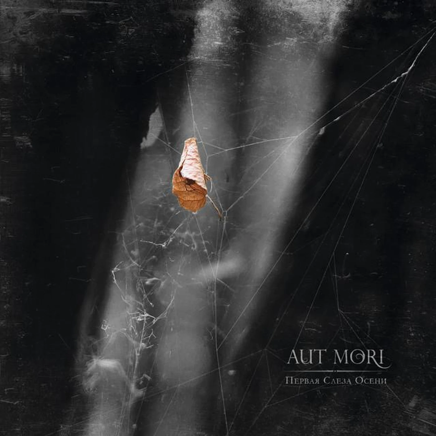 Aut Mori Brand Page