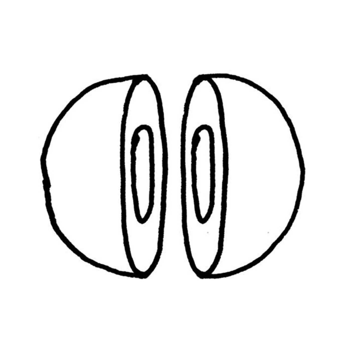 AUTORHYTHM Brand Page