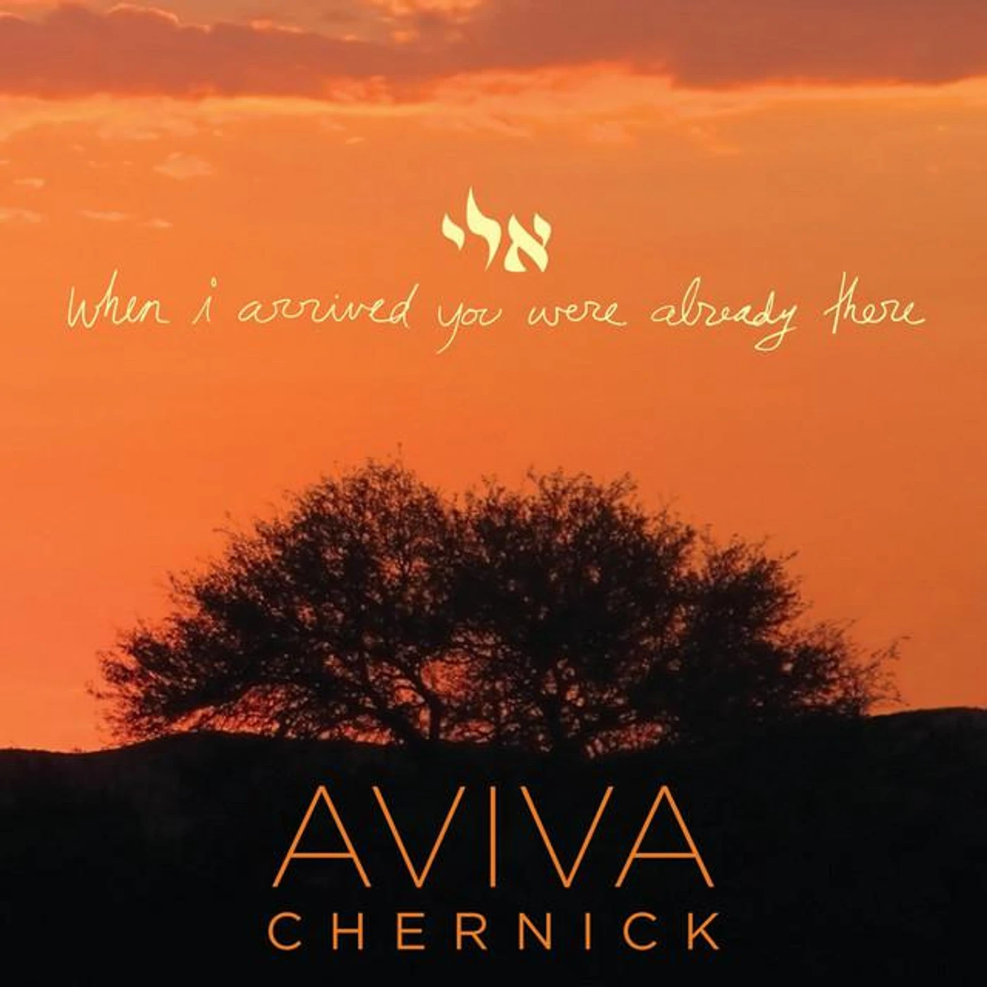 Aviva Chernick Brand Page