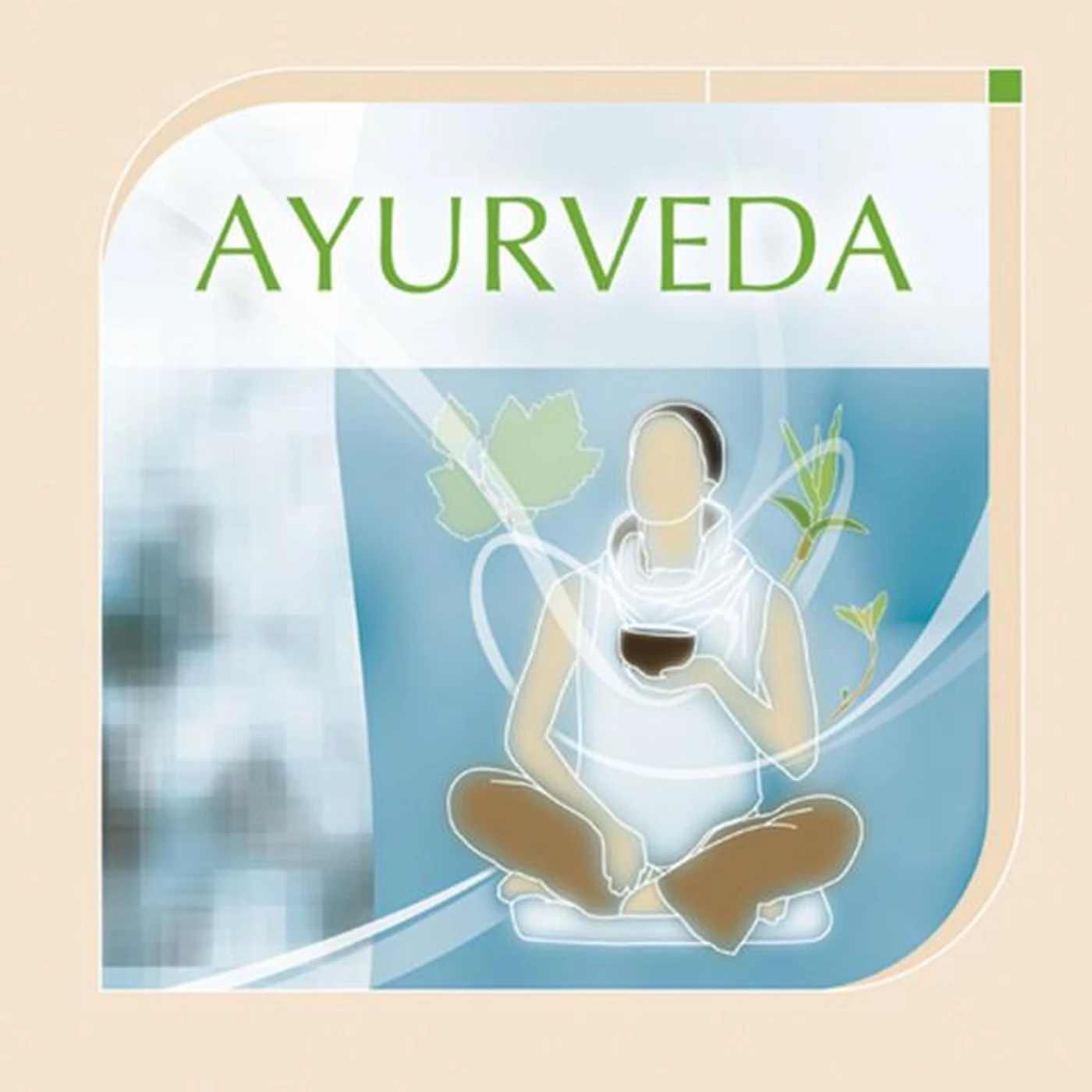 Ayuthya Brand Page