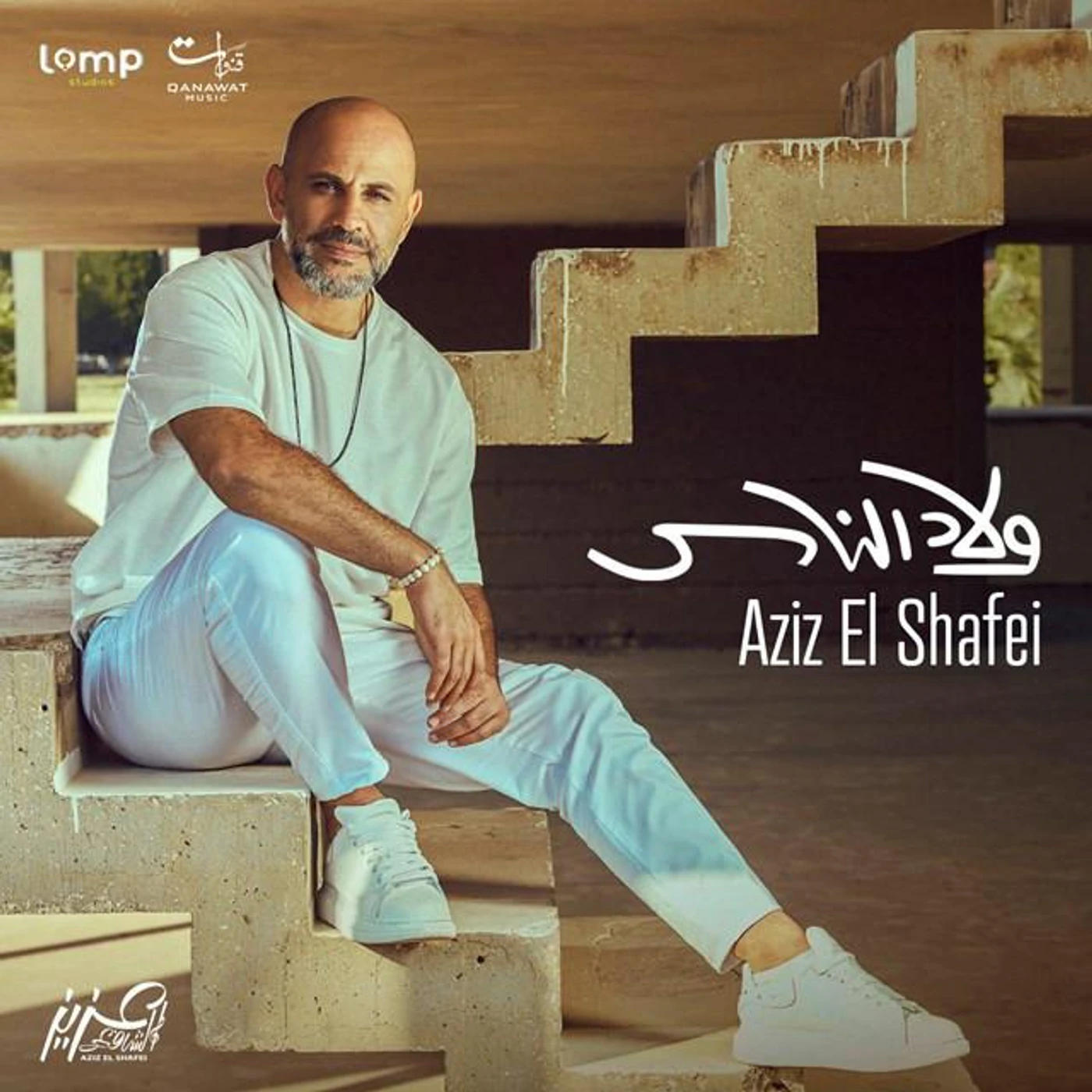 Aziz El Shafei