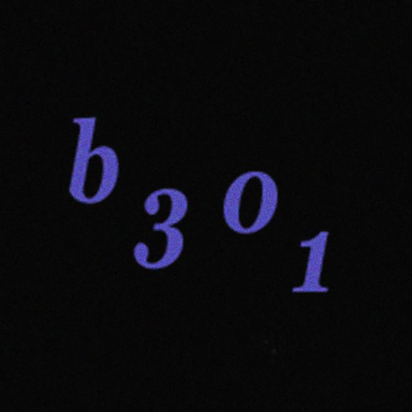 B 301 Brand Page