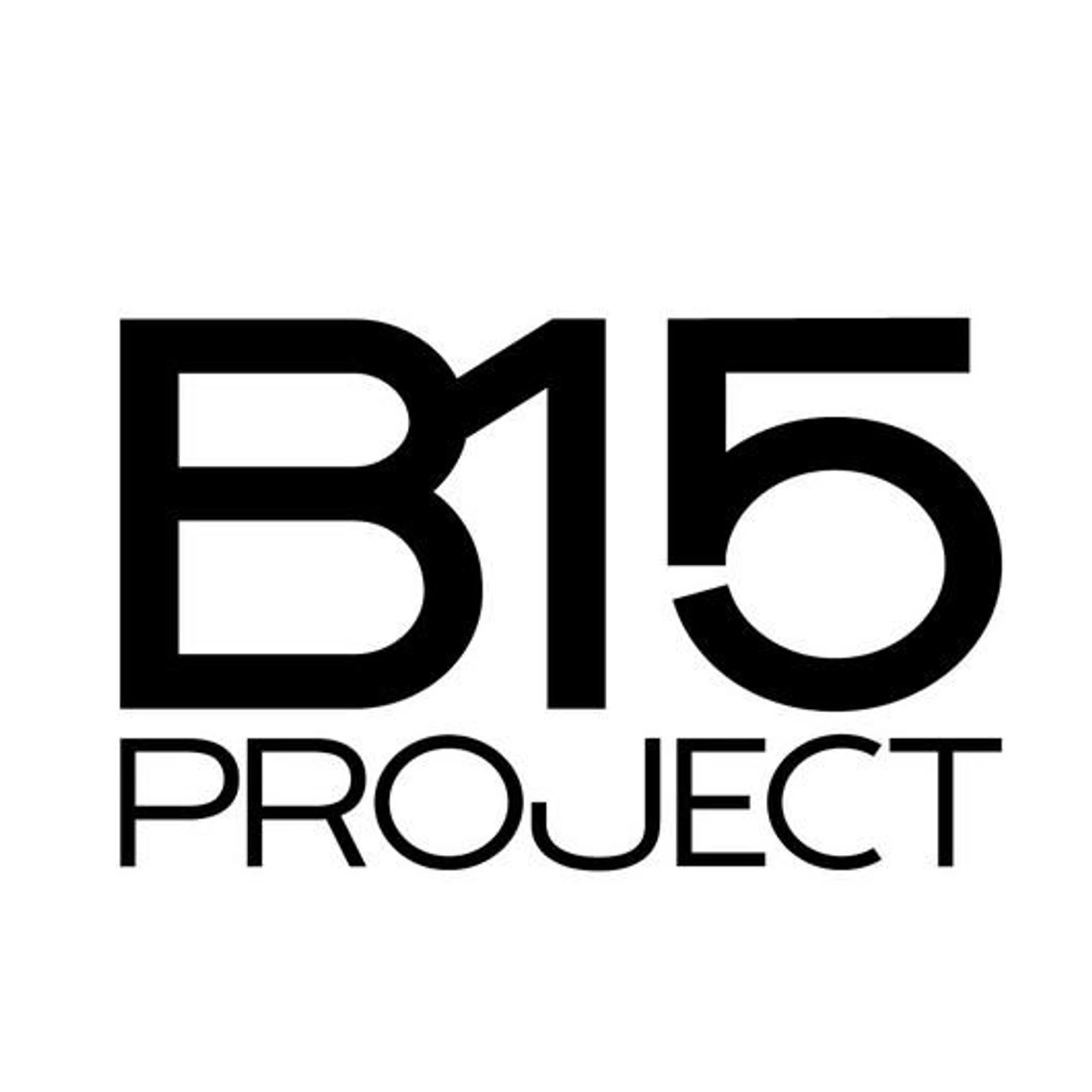 B15 Project Brand Page