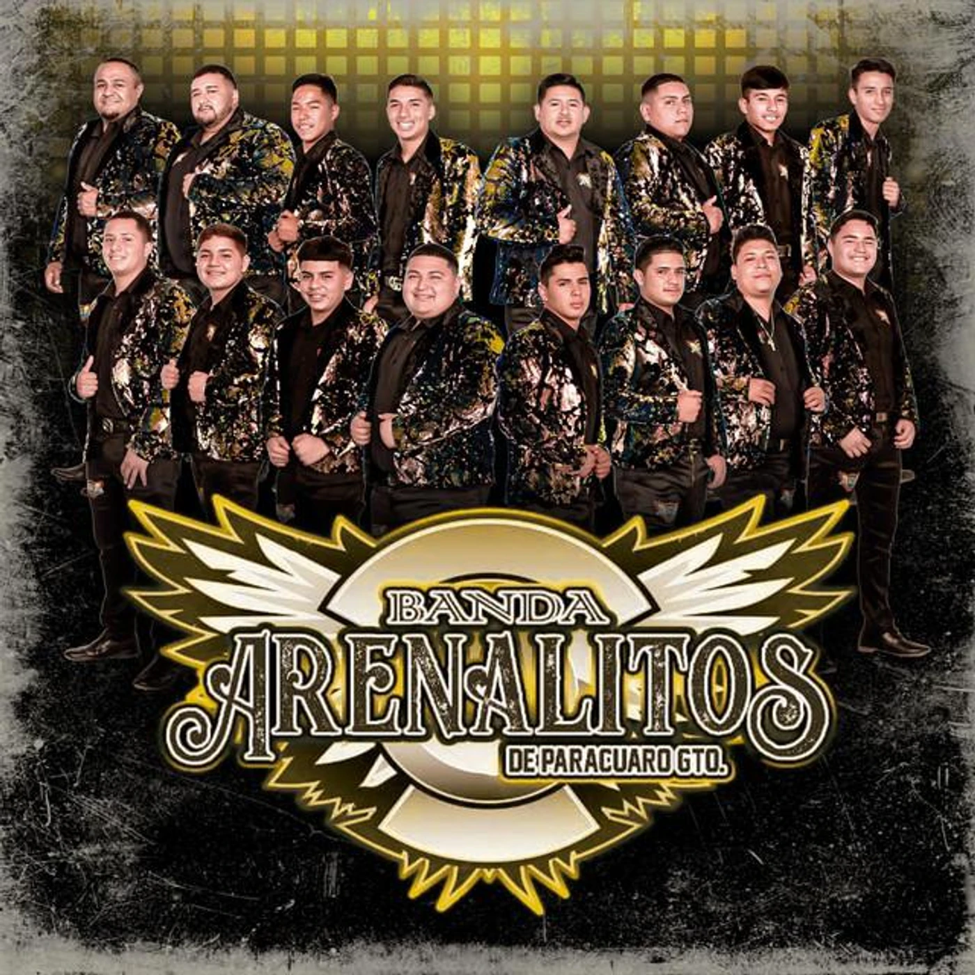 Banda Arenalitos de Paracuaro Gto.