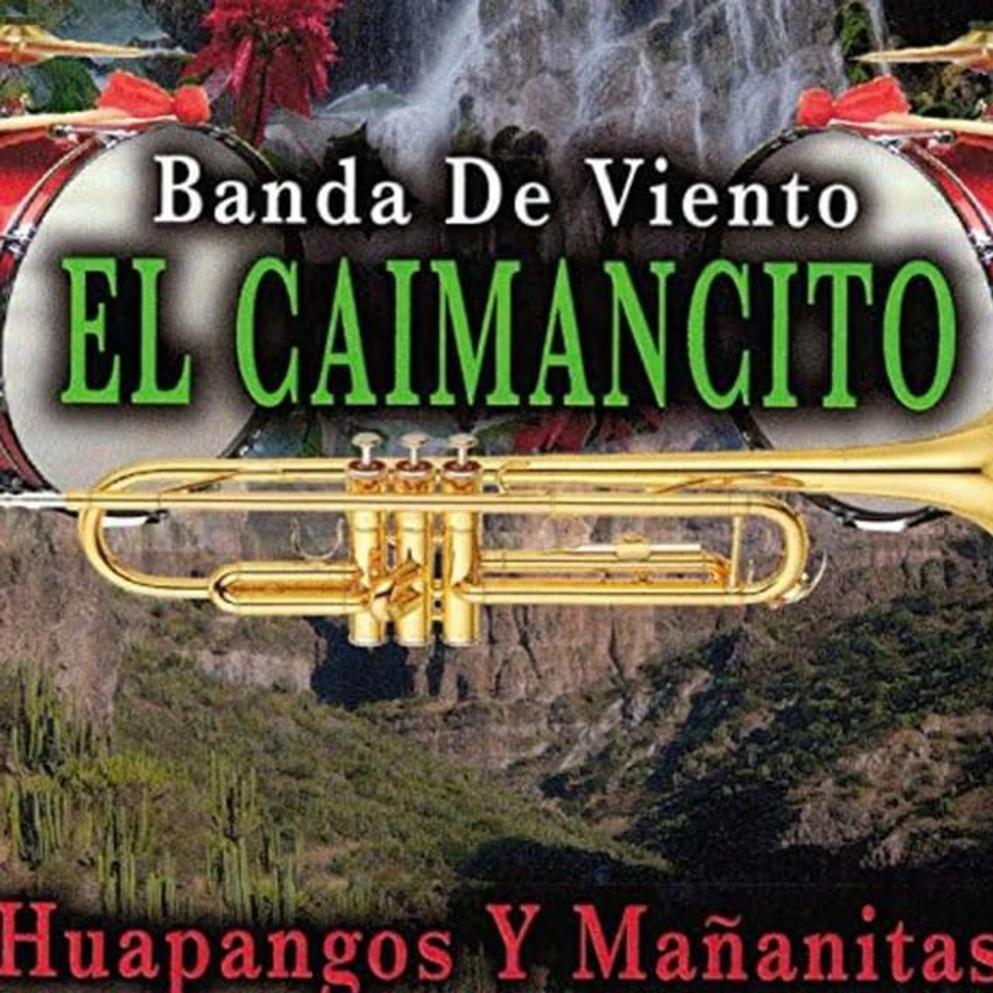 Banda De Viento El Caimancito Brand Page