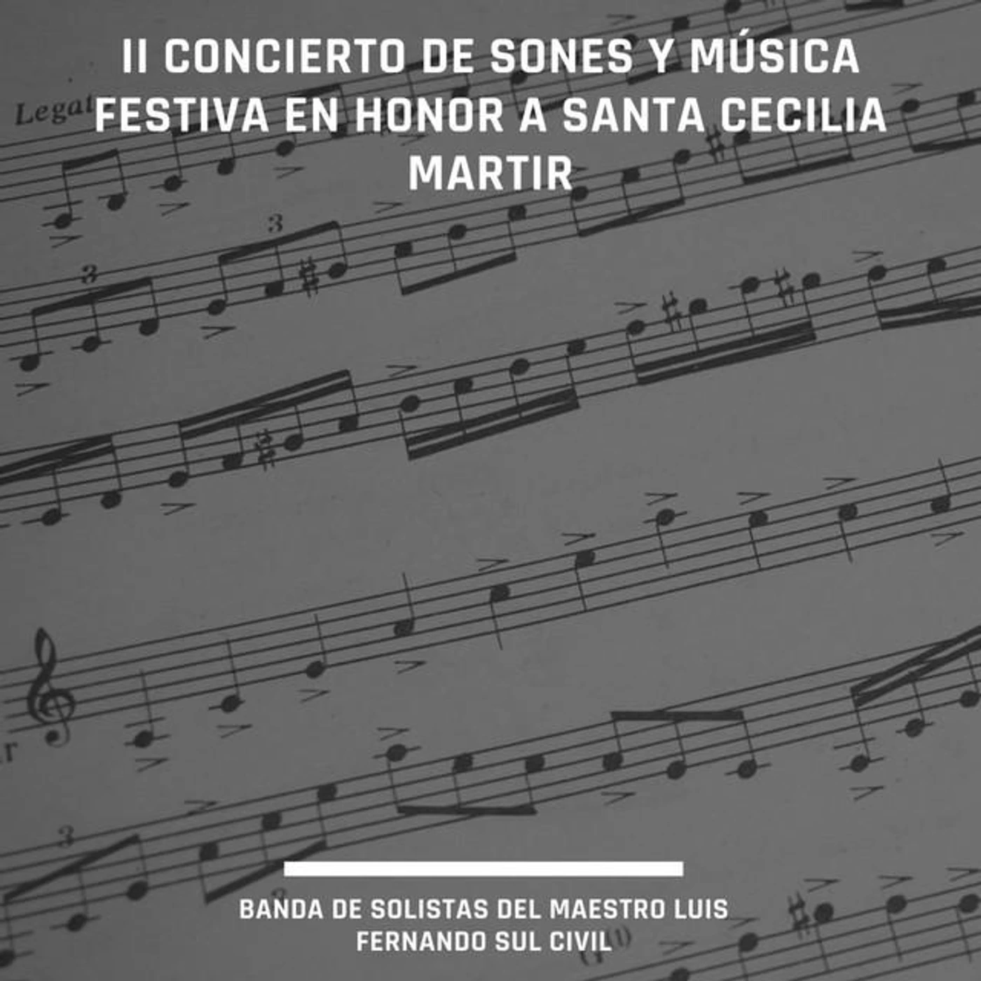 Banda de Solistas del Maestro Luis Fernando Sul Civil Brand Page