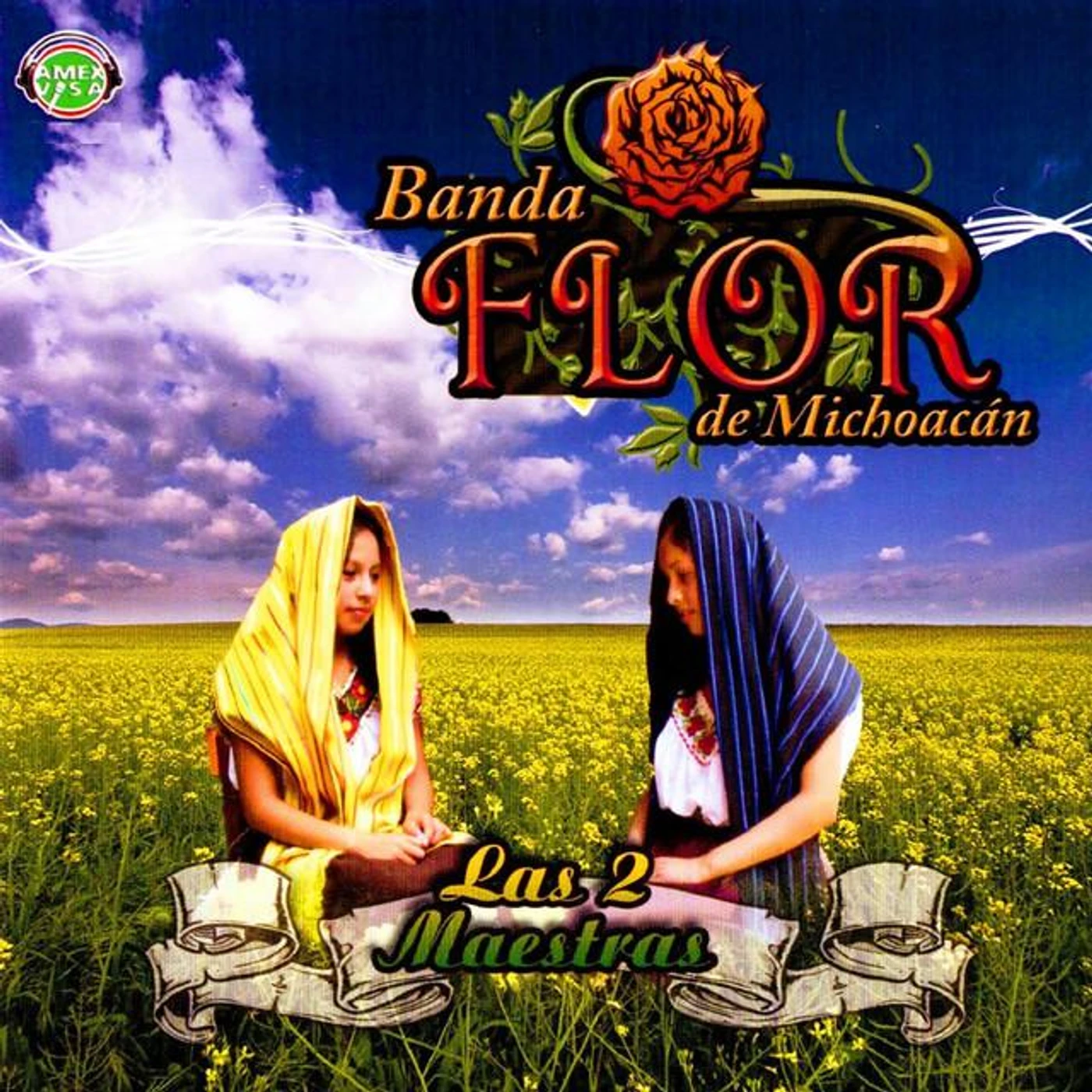Banda Flor De Michoacán Brand Page