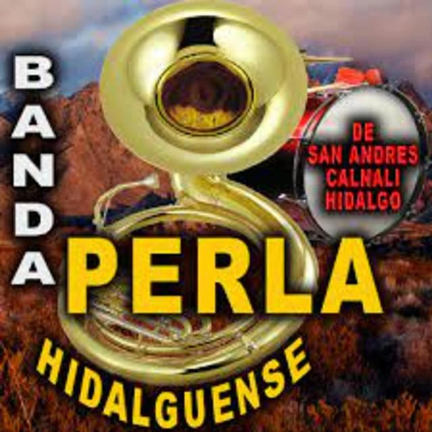 Banda Perla Hidalguense Brand Page
