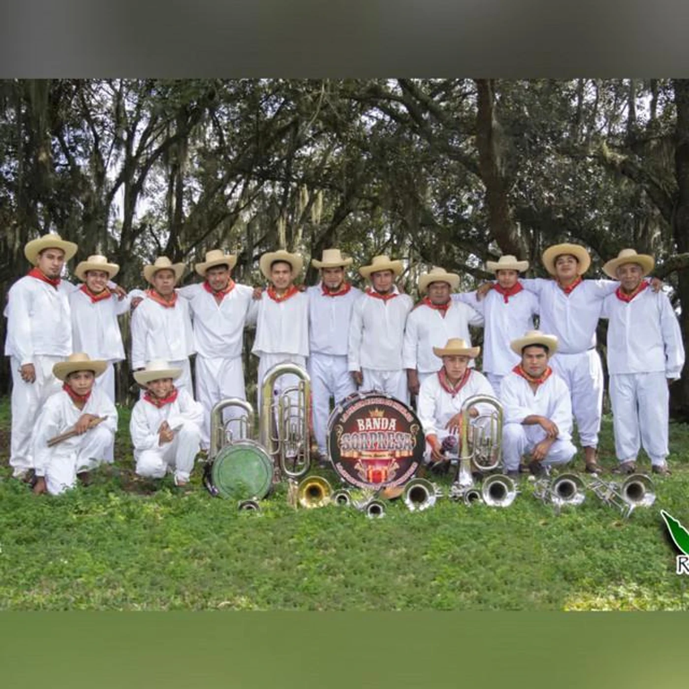 Banda Sorpresa