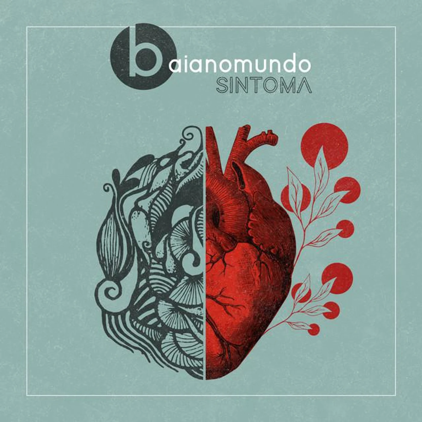 BaianoMundo Brand Page