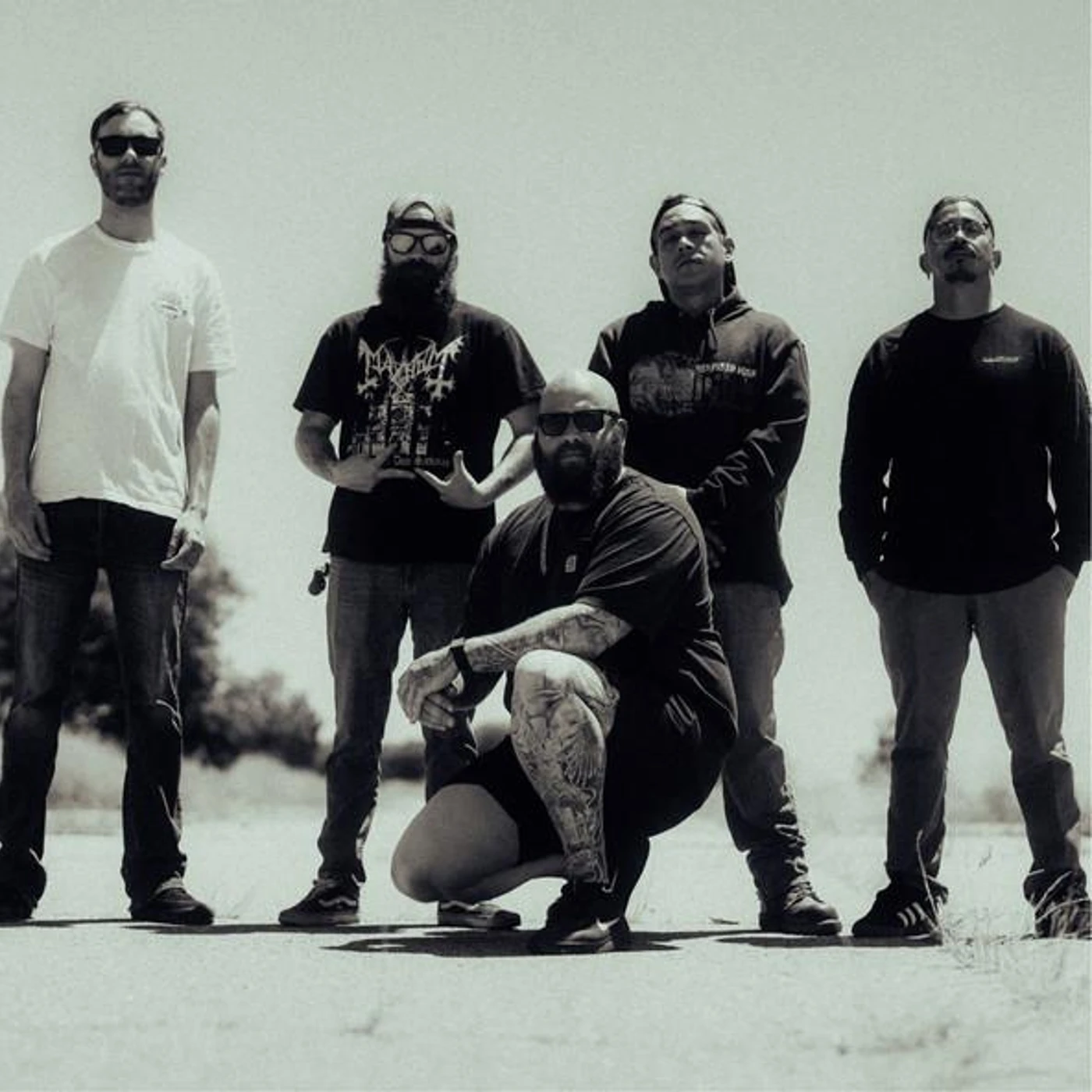 Bare King Brand Page