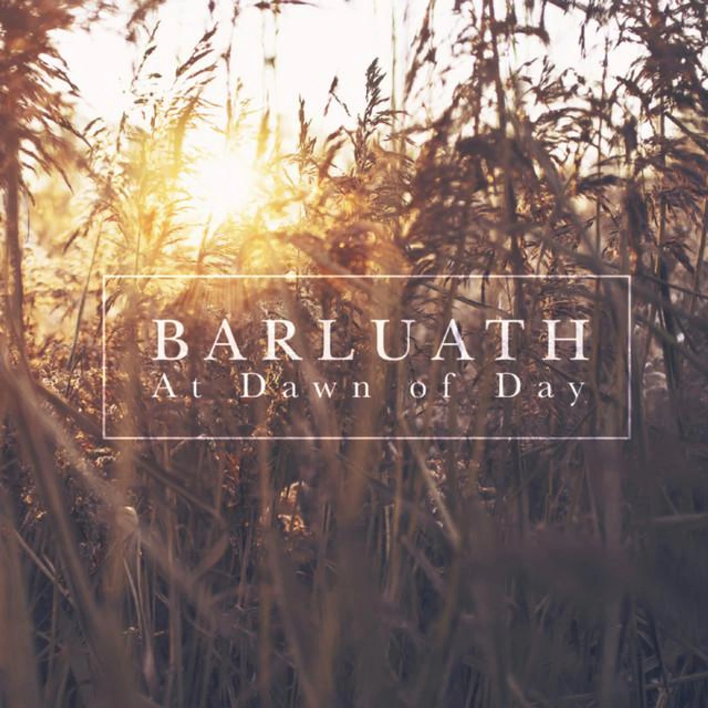 Barluath Brand Page