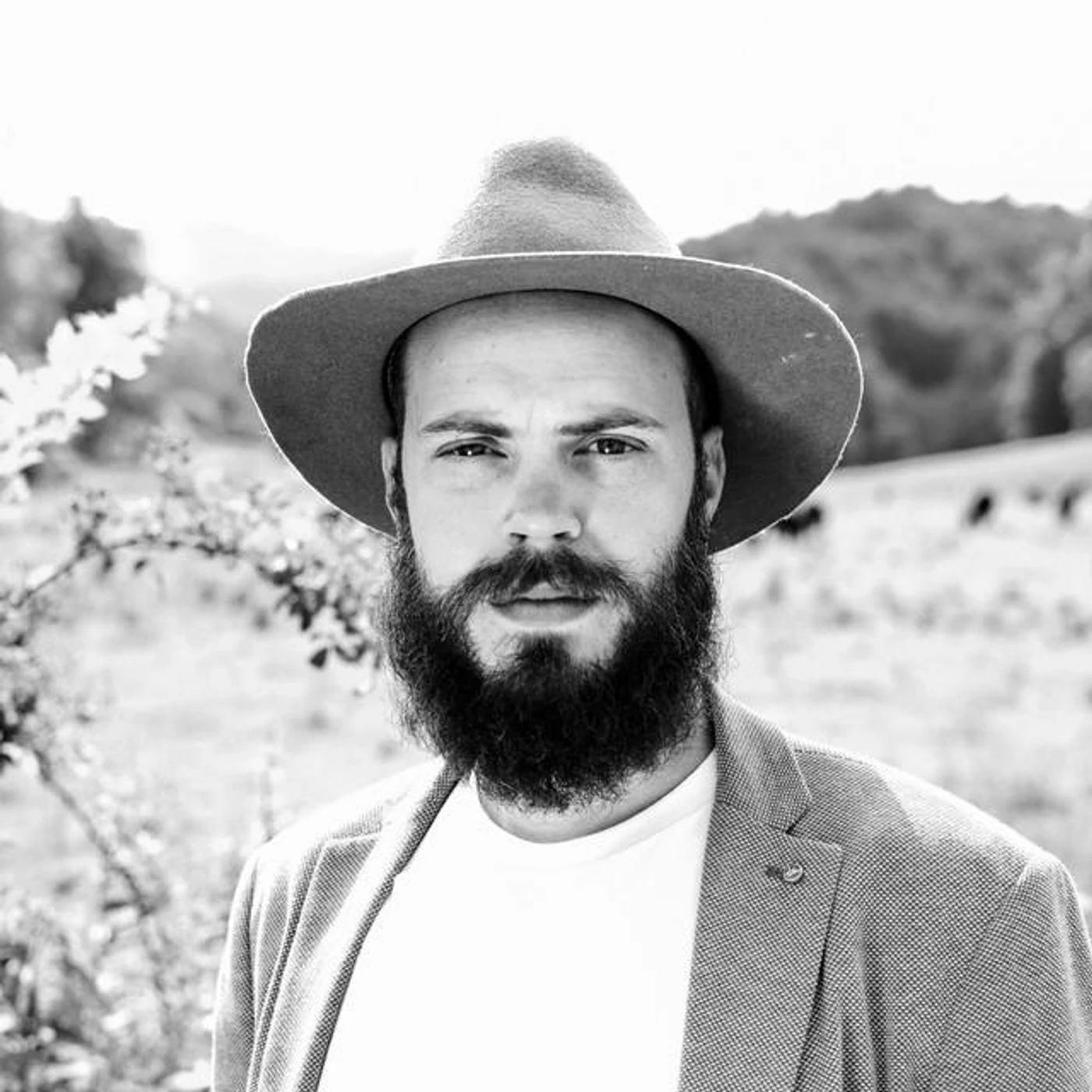 Barrett Davis Brand Page