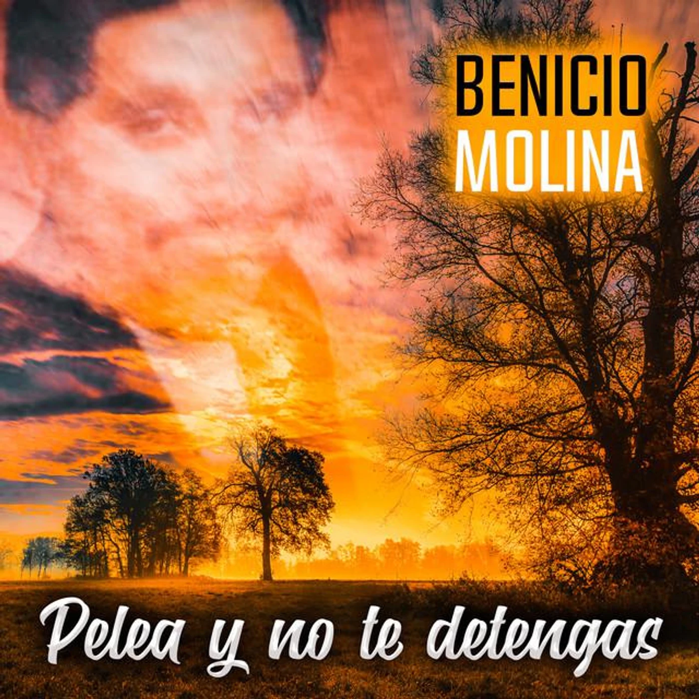 Benicio Molina