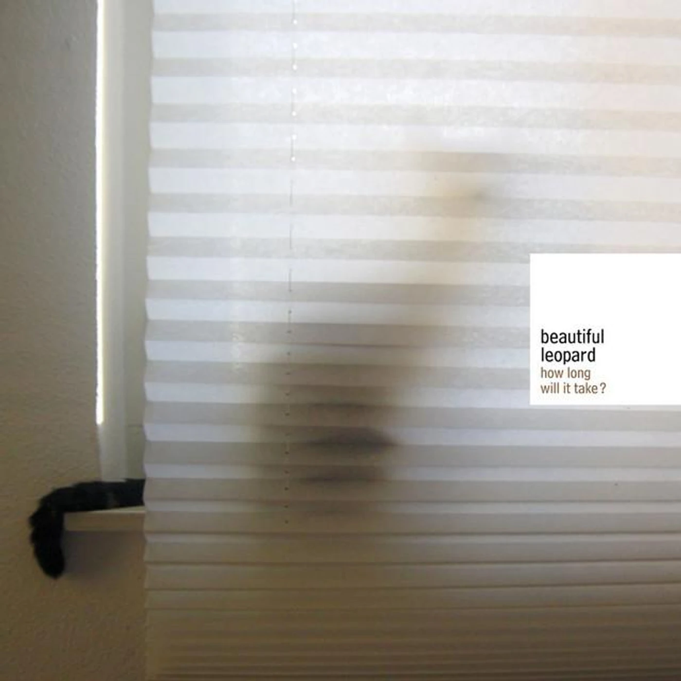 Beautiful Leopard Brand Page