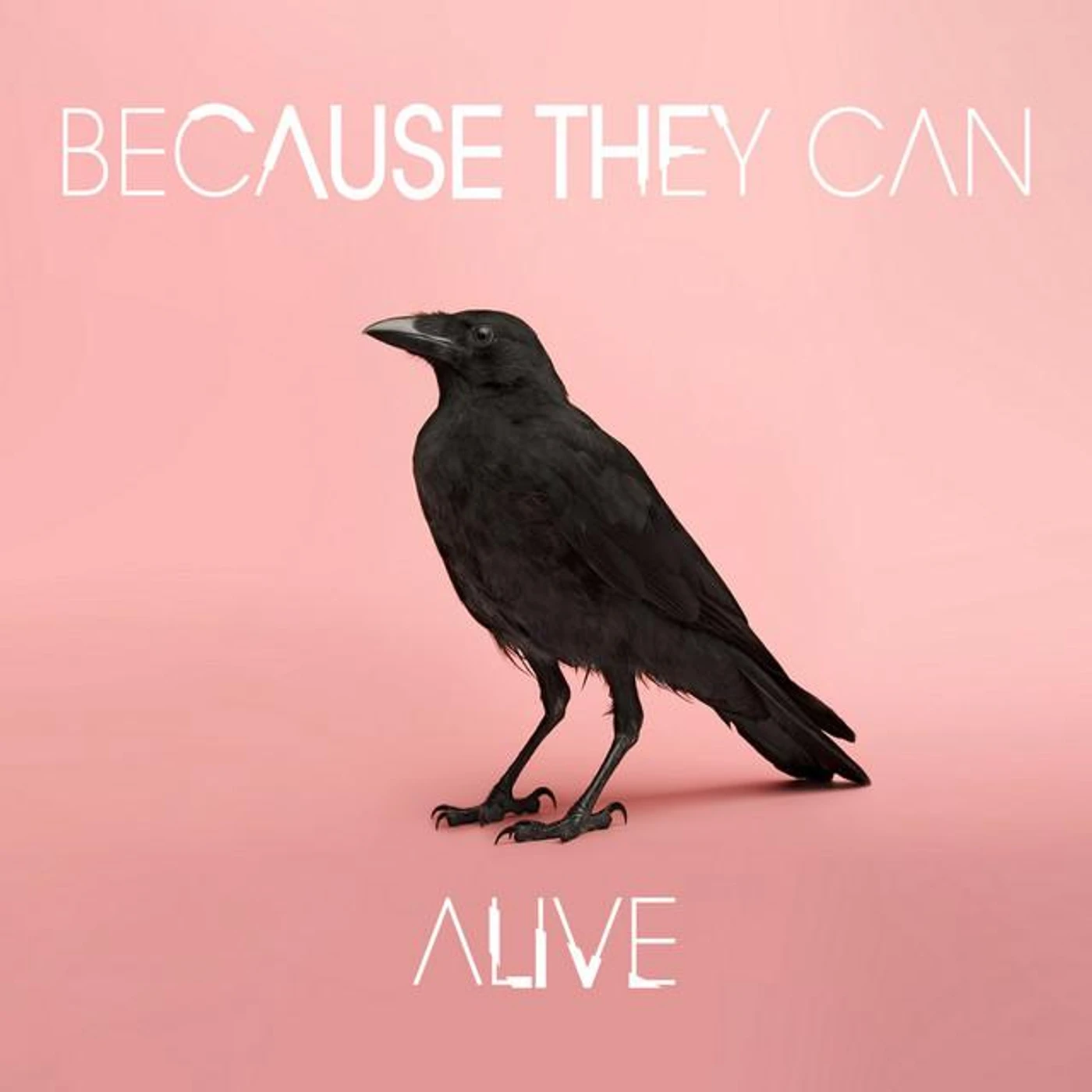 Because They Can Brand Page