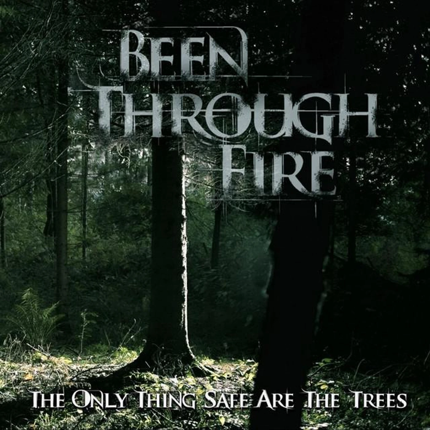 Been Through Fire