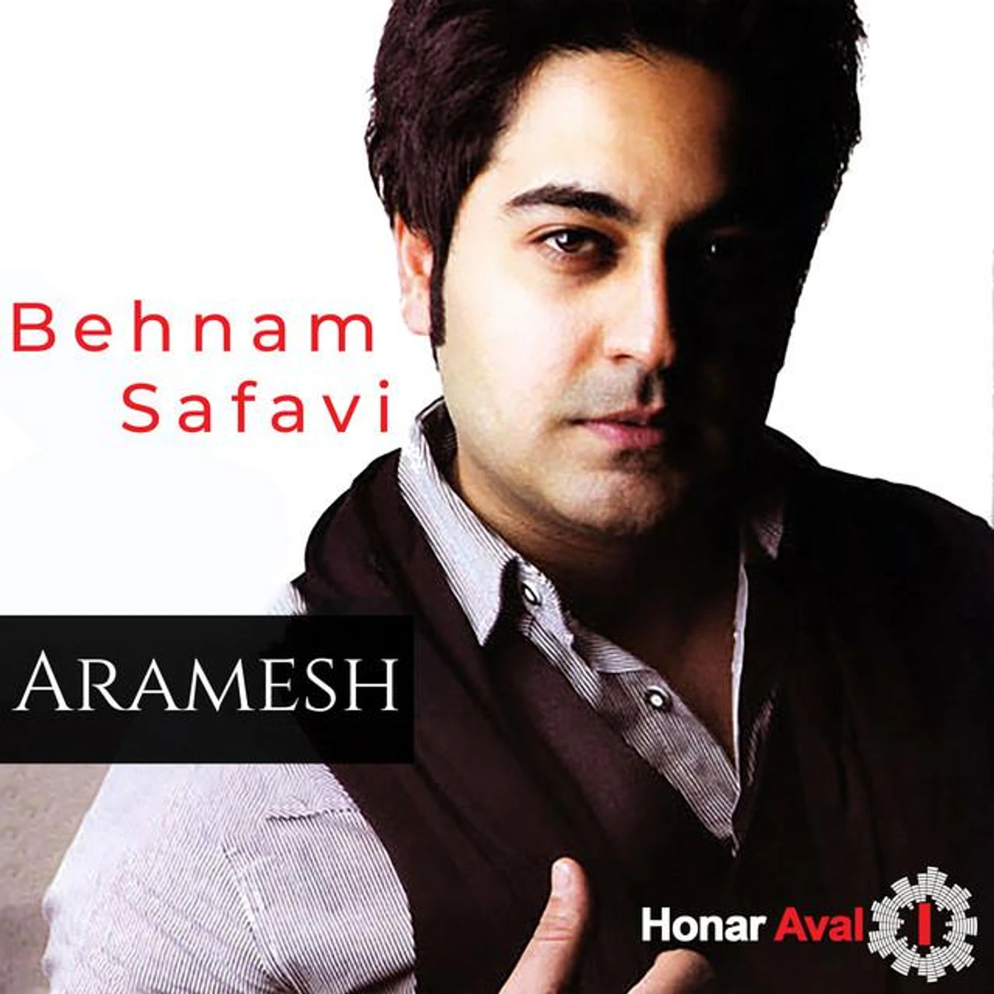 Behnam Safavi