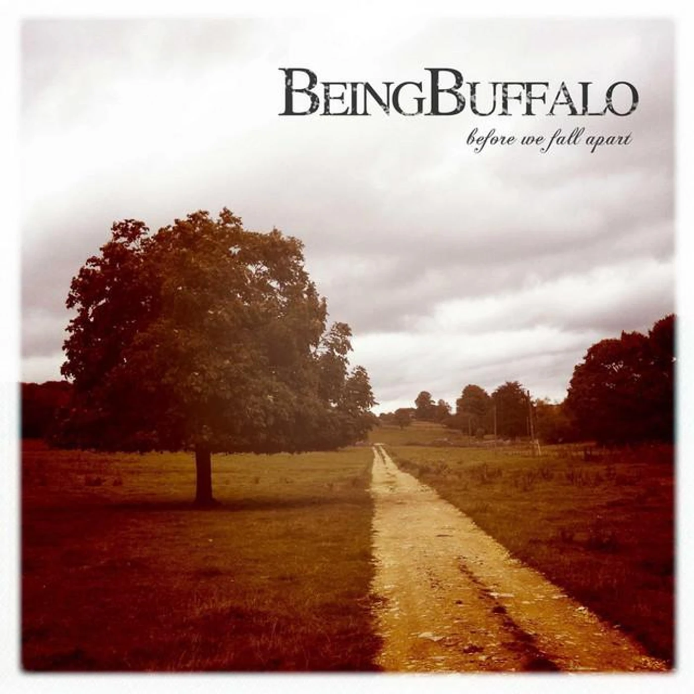 Being Buffalo Brand Page