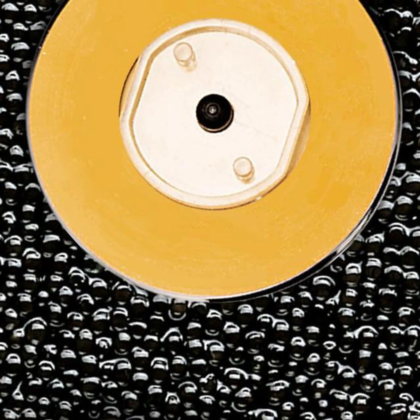 Beluga's Trio Brand Page