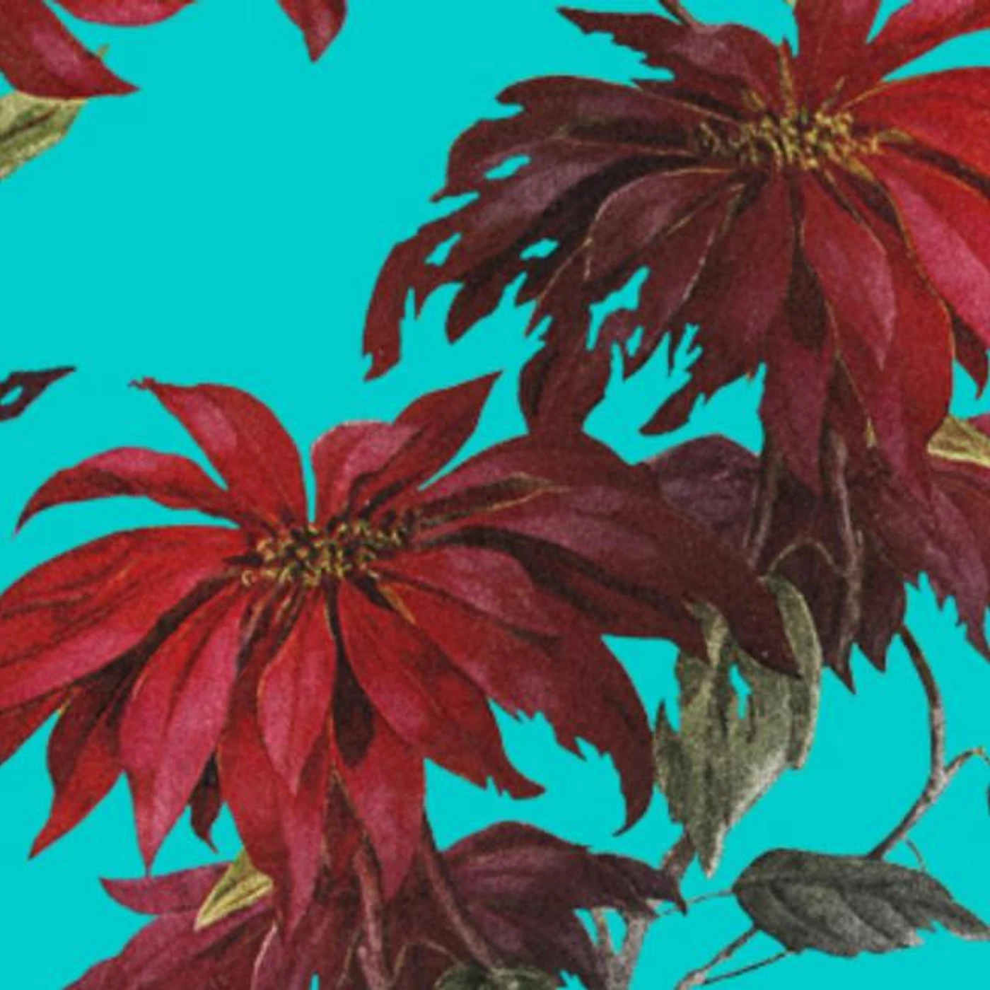 Best Night Ever Brand Page