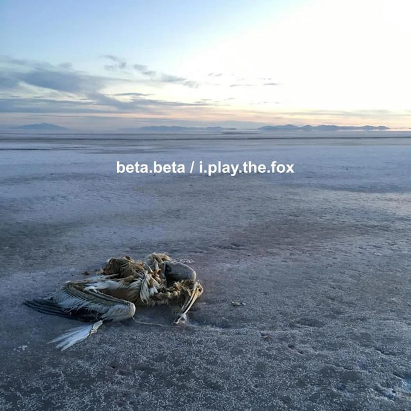 beta.beta Brand Page