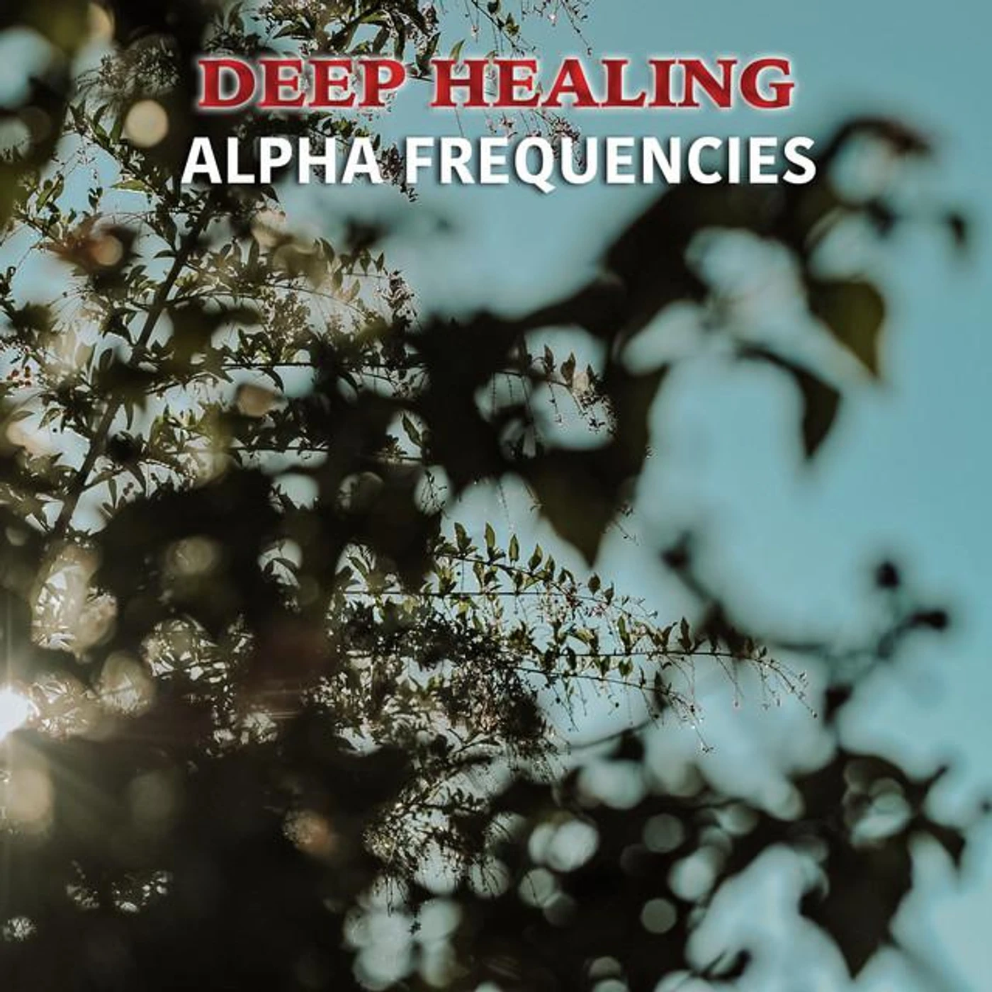 Binaural Reality, Binaural Beats Study Music, Binaural Recorders