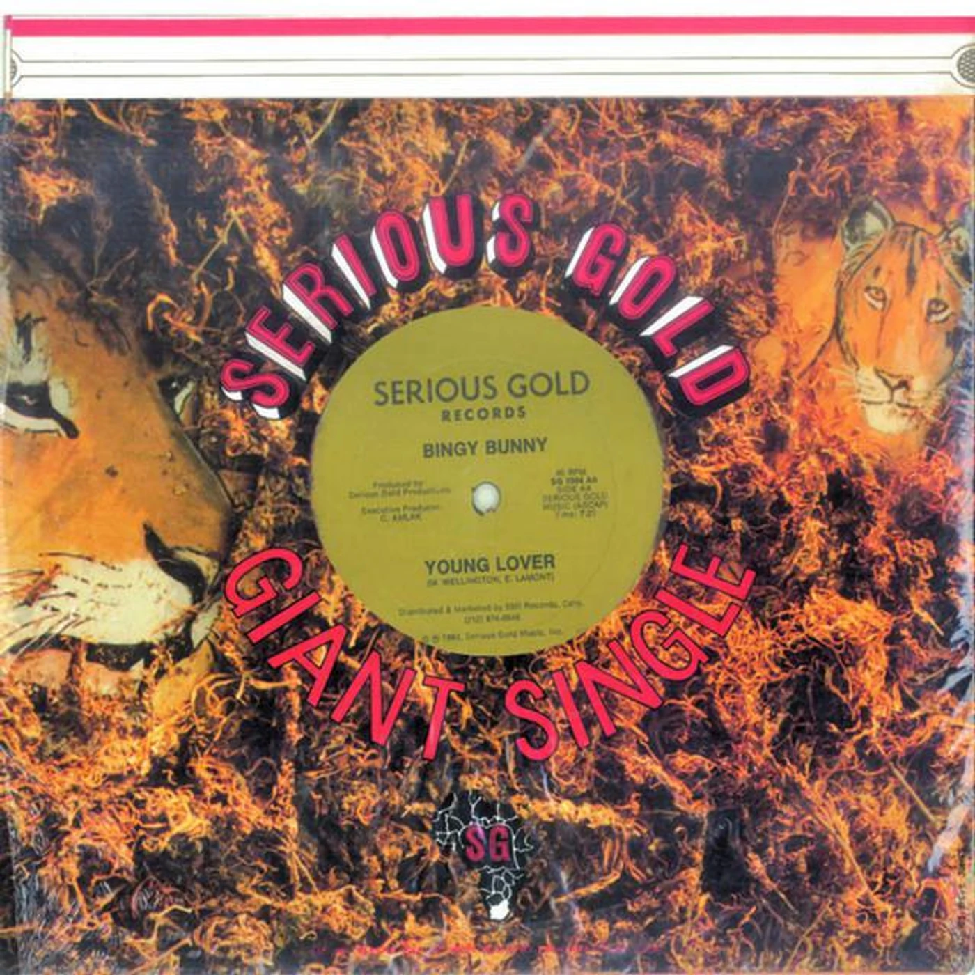 Bingy Bunny Brand Page