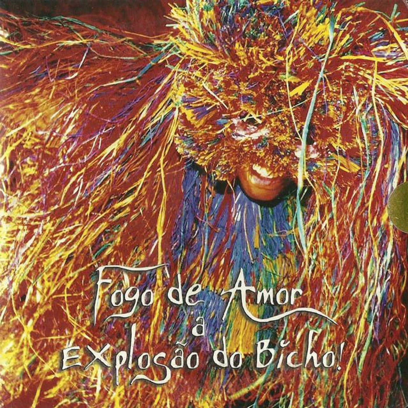 Bicho Terra Barrica Brand Page