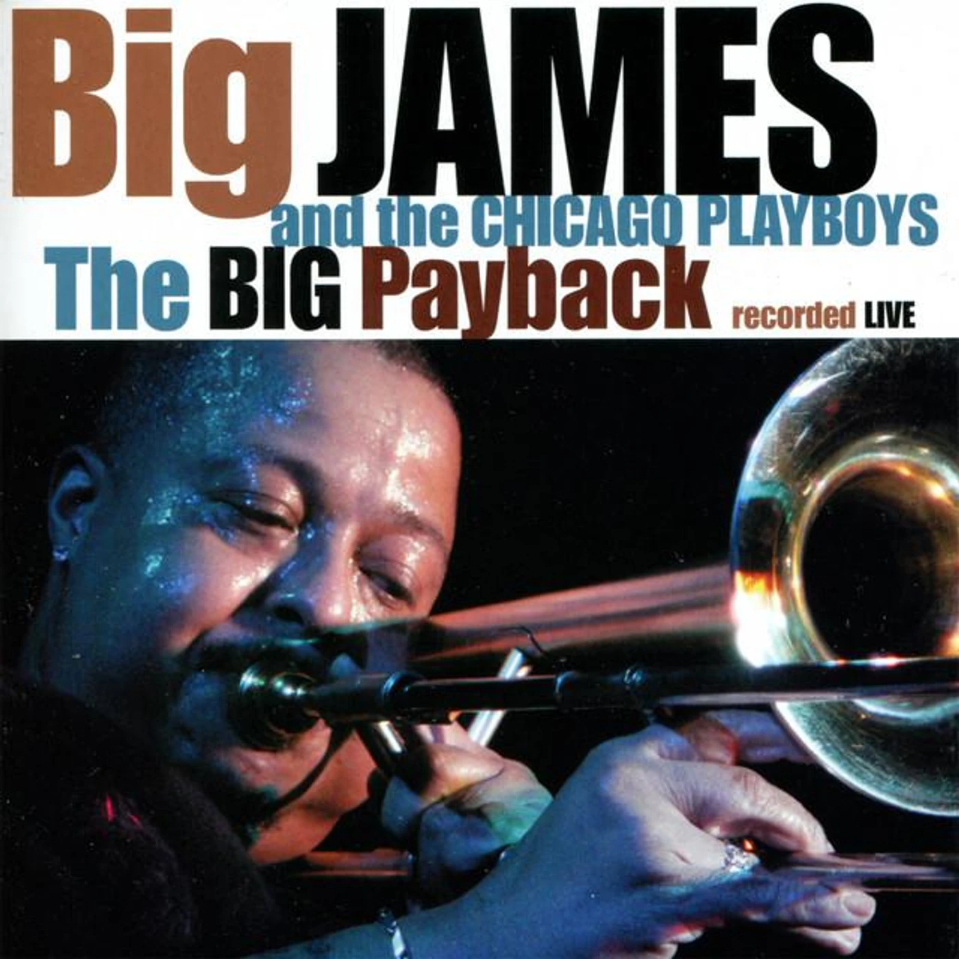 Big James and the Chicago Playboys Brand Page