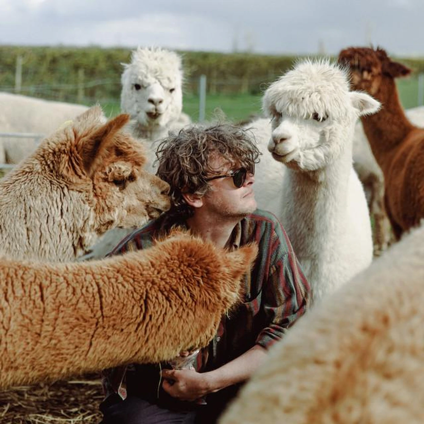Bill Ryder-Jones Brand Page