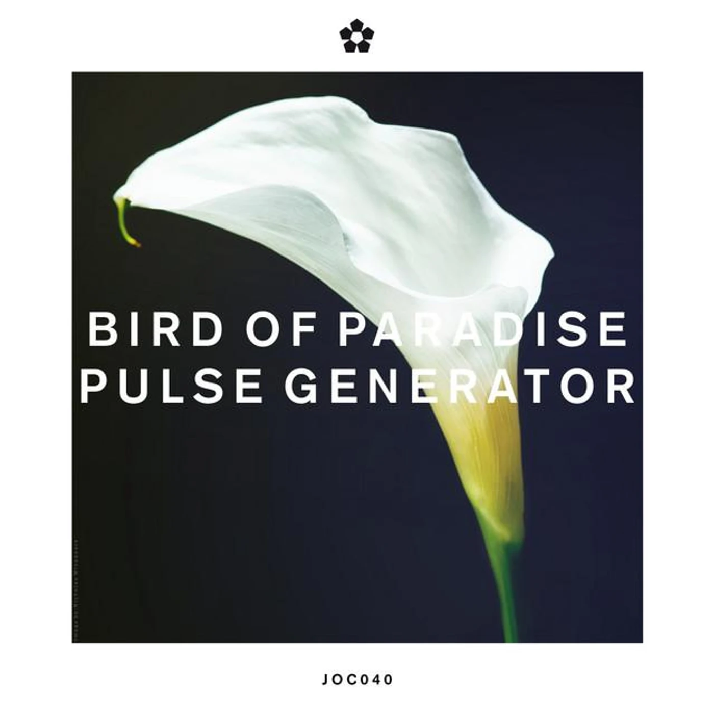 Bird of Paradise Brand Page