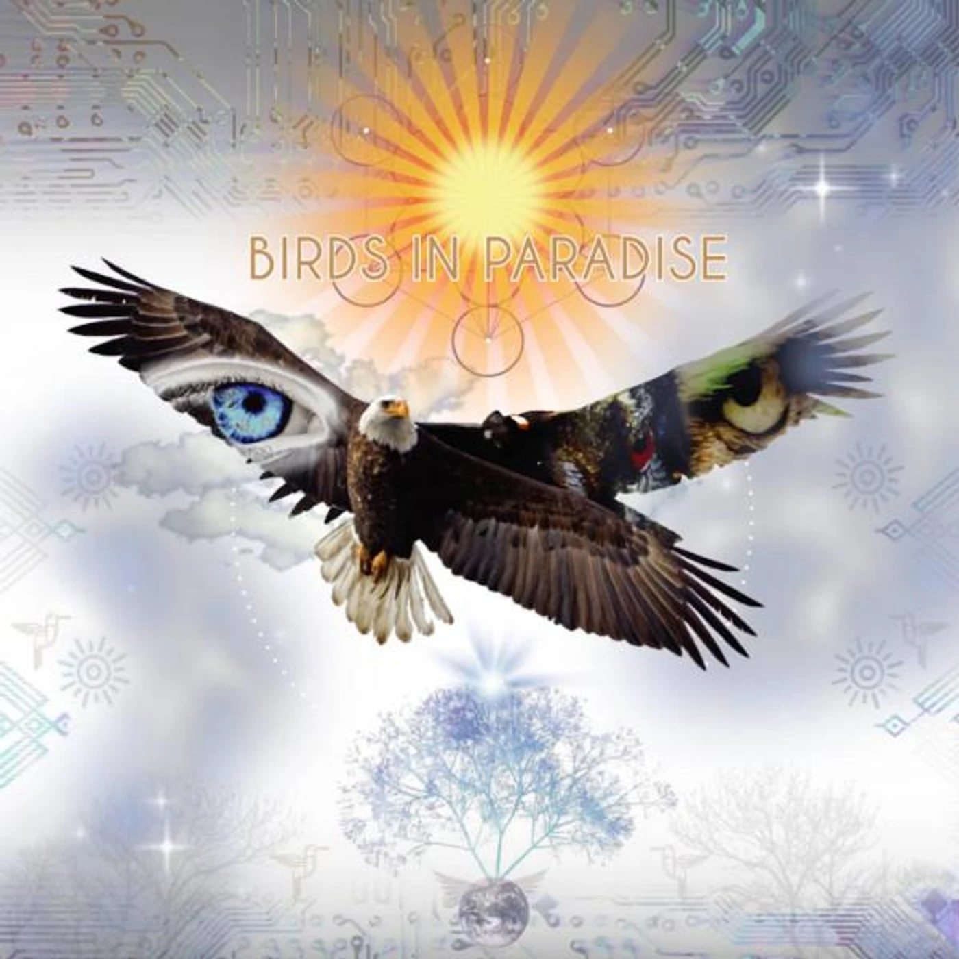 Bird Tribe Brand Page