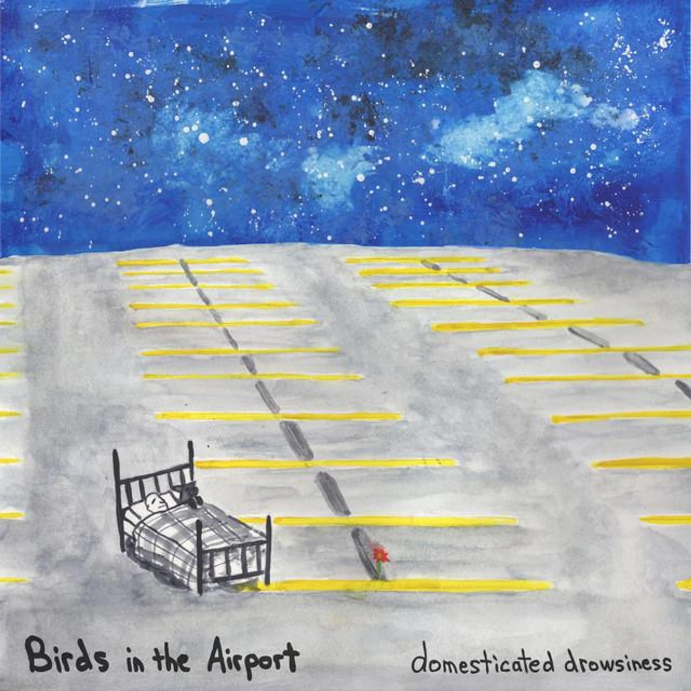 Birds in the Airport Brand Page
