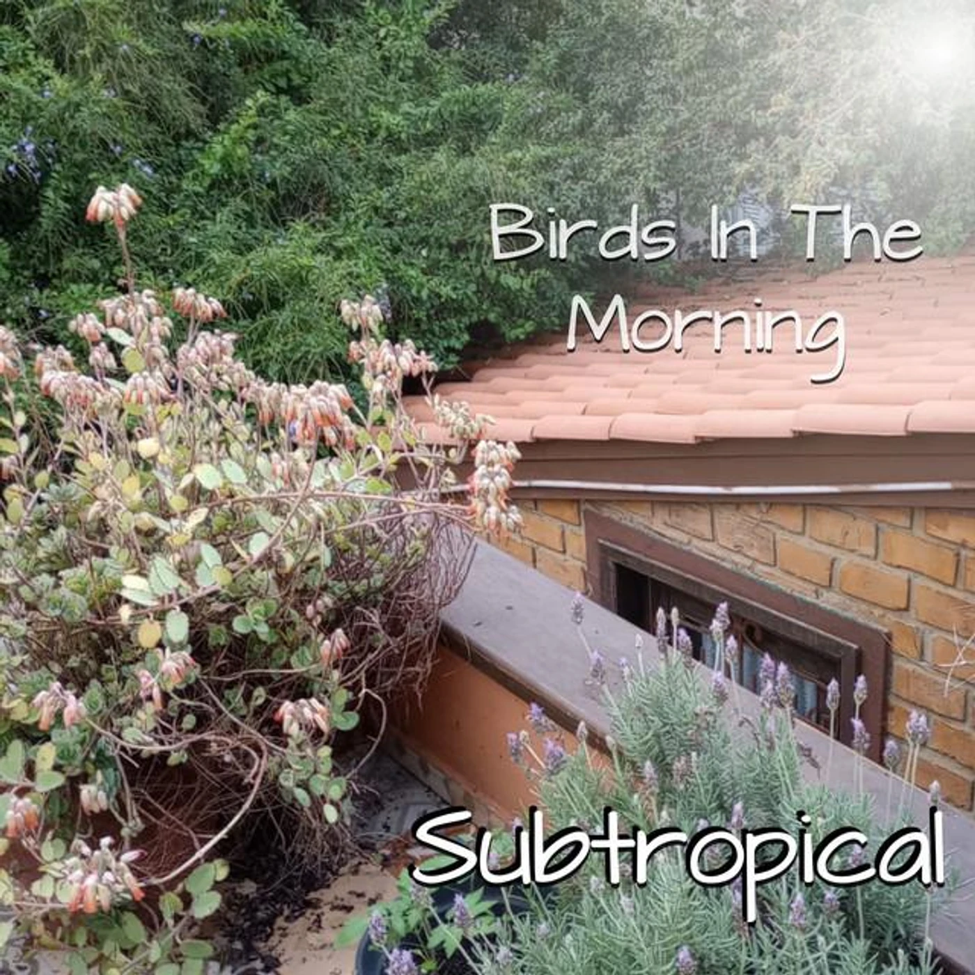 Birds In The Morning Brand Page